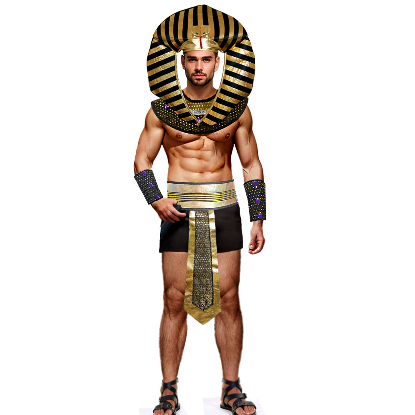 ชุดแฟนซีผู้ชายธีมฟาโรห์อียิปต์ - Men Accessories Egypt บทวิจารณ์และราคา